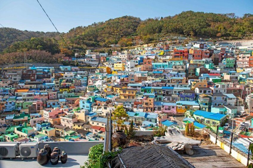 Busan Cruise Shore Excursion with Guaranteed On-Time Return 2