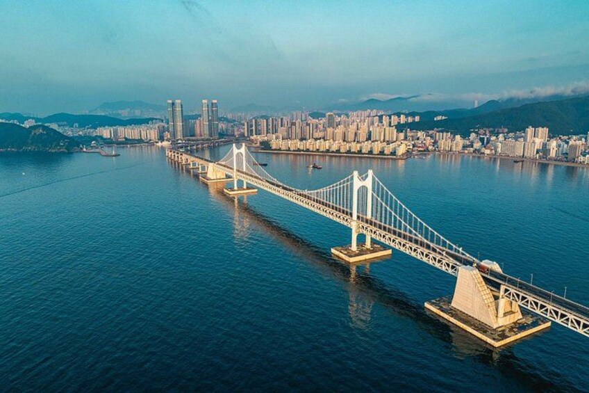 Busan Cruise Shore Excursion with Guaranteed On-Time Return 4