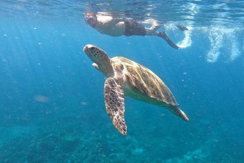Private Gili Snorkeling Tour: Turtles, Reefs + GoPro & Drone 2
