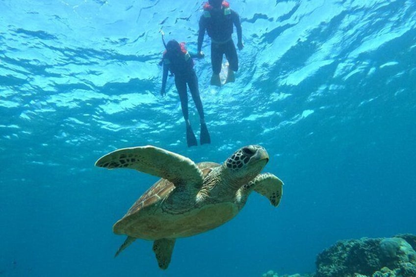 Private Gili Snorkelling Tour: Turtles & Reefs + GoPro + Drinks 2