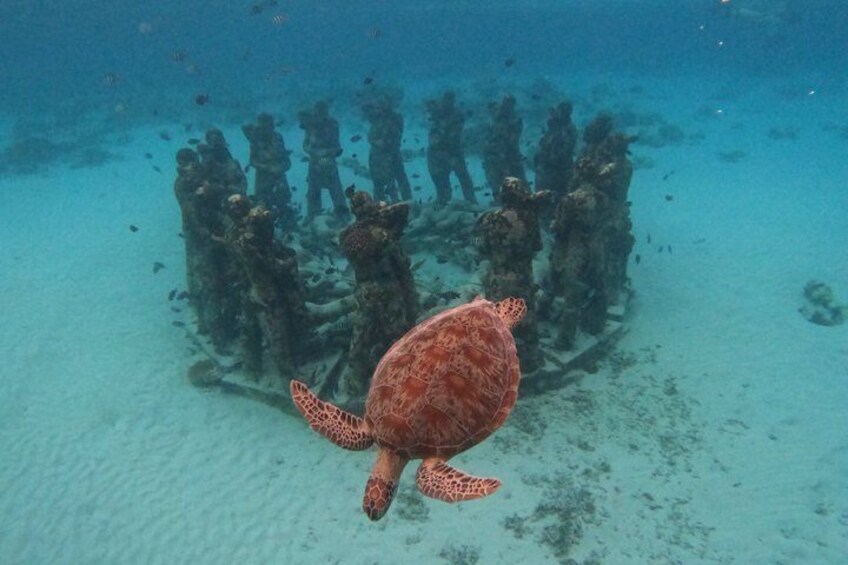 Private Gili Snorkelling Tour: Turtles & Reefs + GoPro + Drinks 3