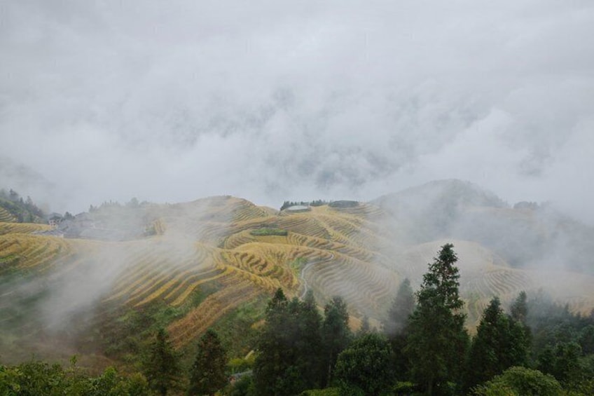 Terraced fields, a misty mountain landscape, and dense forest. 2