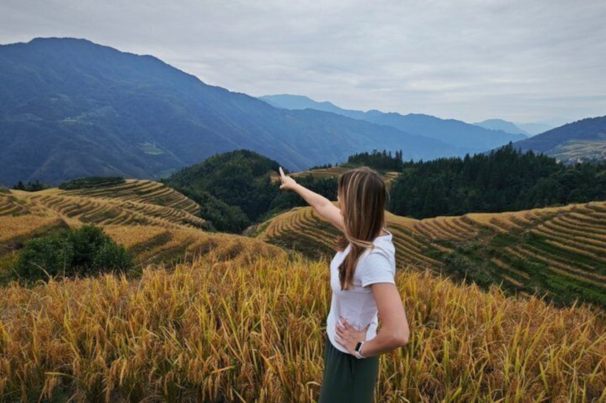 A person standing in a field of golden crops, pointing towards distant mountains. 4