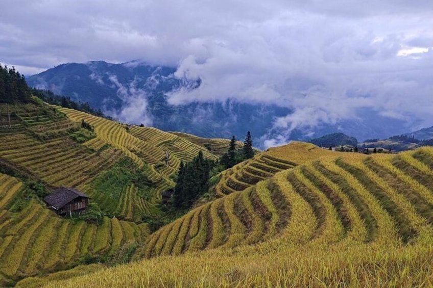 Terraced rice fields, a small wooden house, and a mountain range with clouds. 5