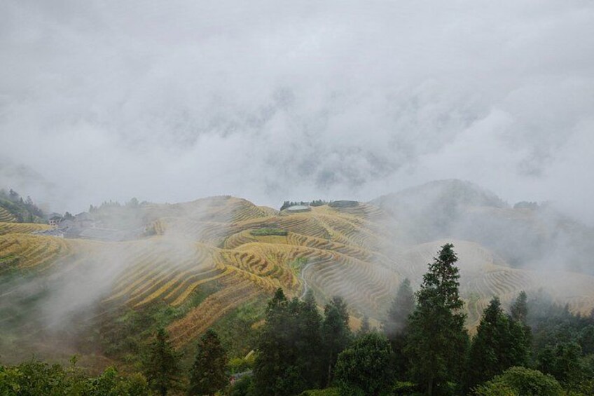 Terraced fields, rolling hills, and a forested area. 2