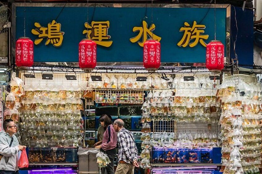A street market stall with a blue sign and red lanterns, displaying various items like fish and packaged goods. 5