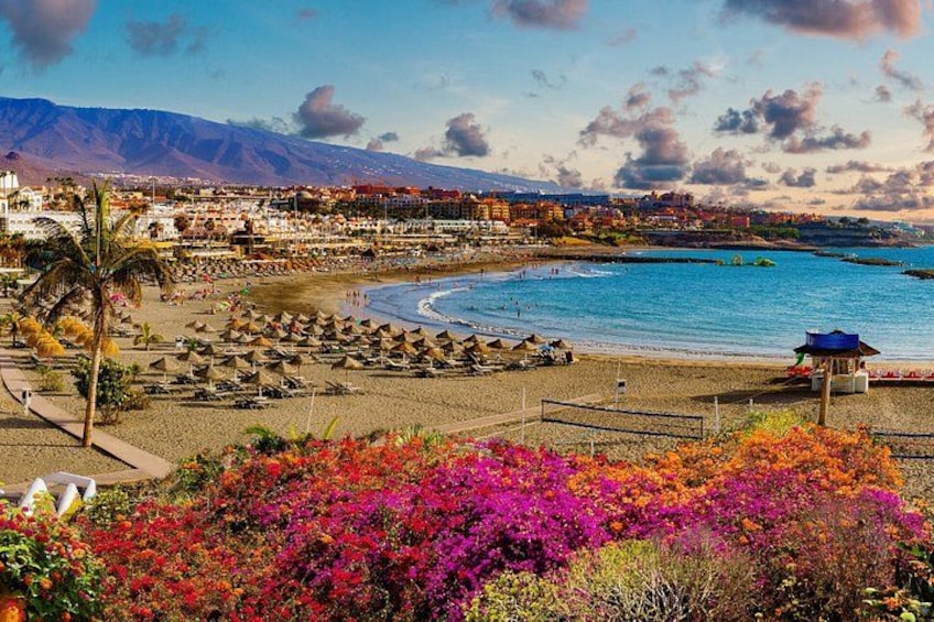Private Shore Tour: Whale Watching Adventure in Costa Adeje 3