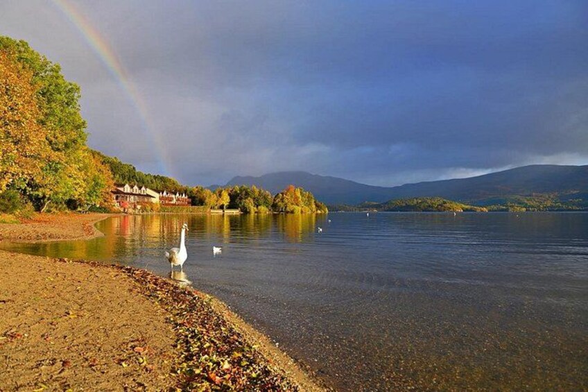 A lake with a swan, a rainbow, and autumn trees. 3