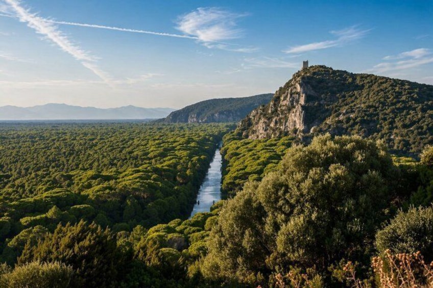 A river winding through a forested valley with a castle on a hill. 1