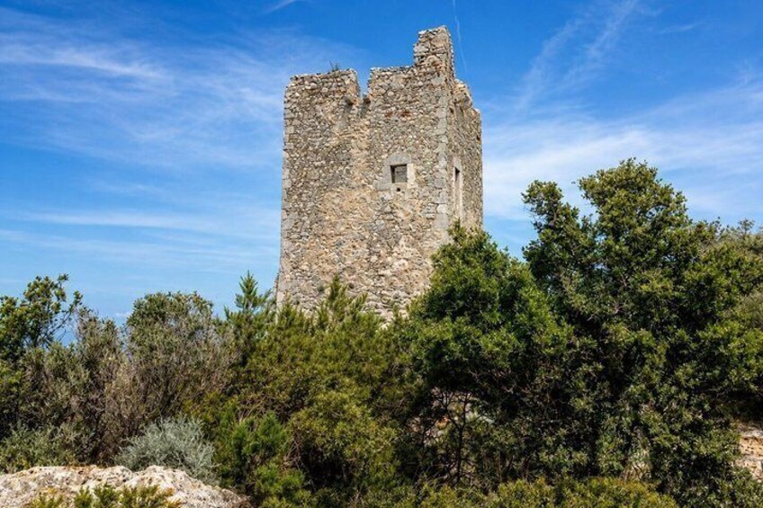 Maremma Regional Park And Guided Virtual Bike Tour 3