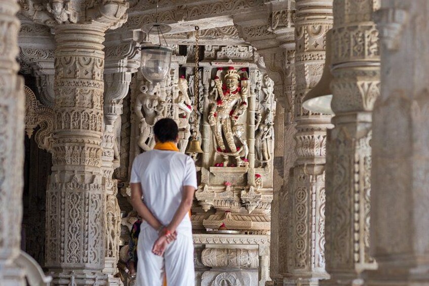 Jawai Leopard Safari & Ranakpur Jain Temple Day Tour from Jodhpur 5