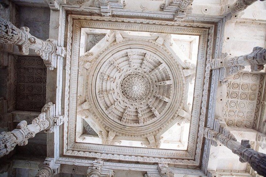 Jawai Leopard Safari & Ranakpur Jain Temple Day Tour from Jodhpur 4