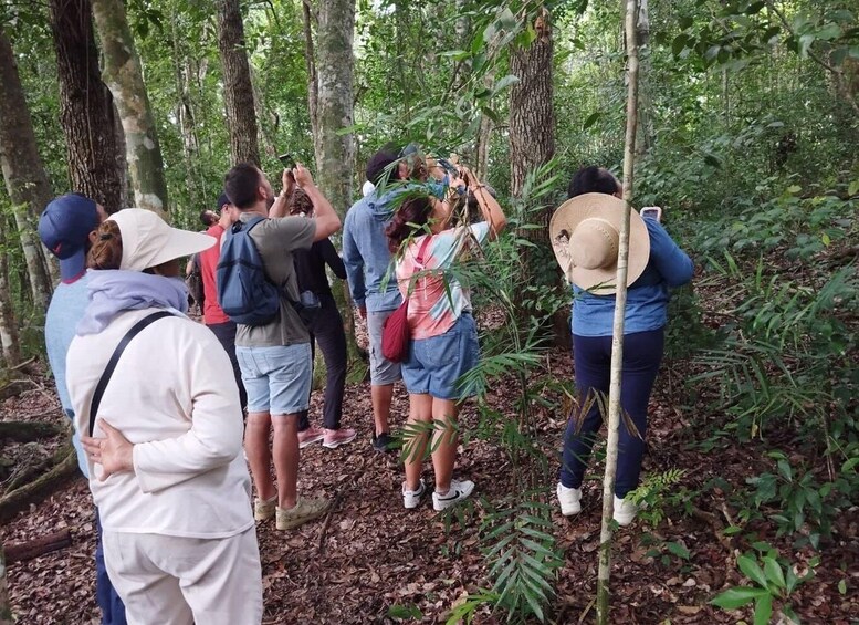 A group of people hiking in a forest. 3