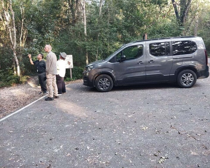 A gray van parked on a gravel path with people standing nearby, surrounded by trees. 5