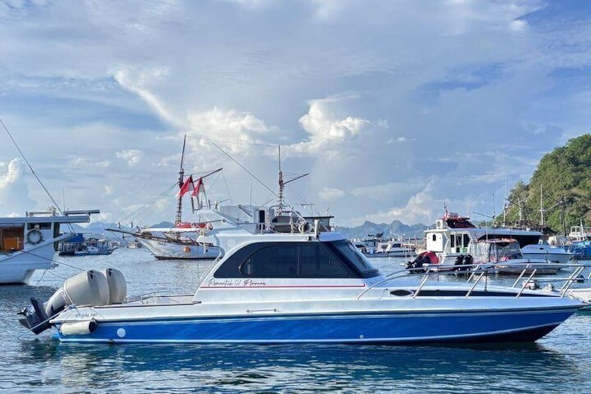 A marina with various boats docked, including a prominent blue and white speedboat in the foreground. 2
