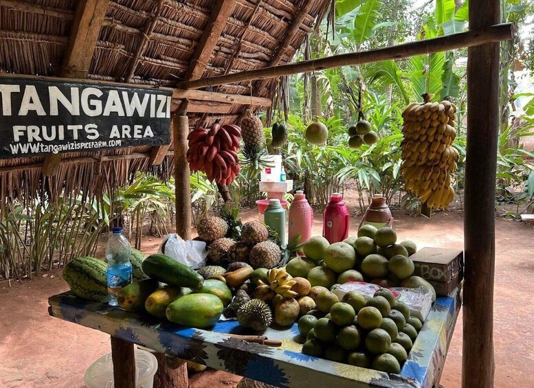 Picture 3 for Activity Zanzibar:Jozani Forest Red Colobus Monkeys & Spice Farm Tour 3