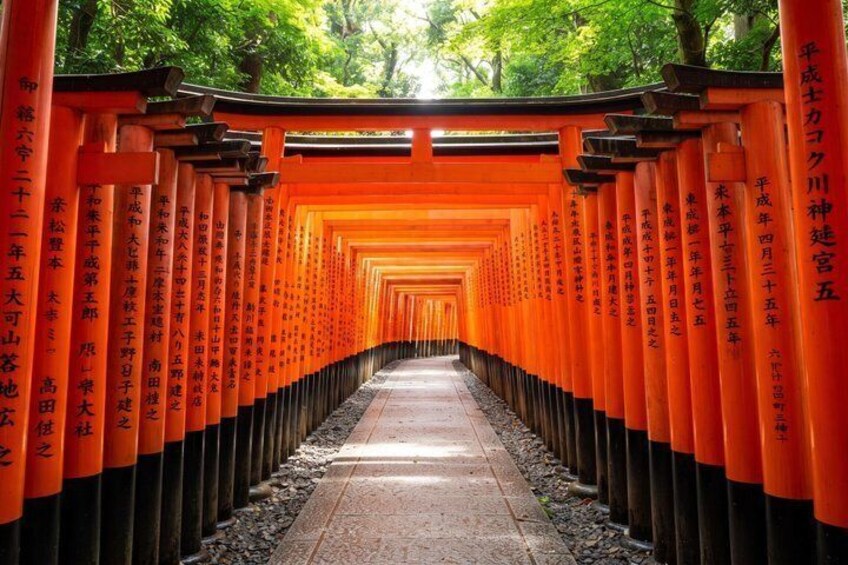 Early Bird Kyoto: Fushimi Inari, Nijo Castle & Golden Pavilion 2