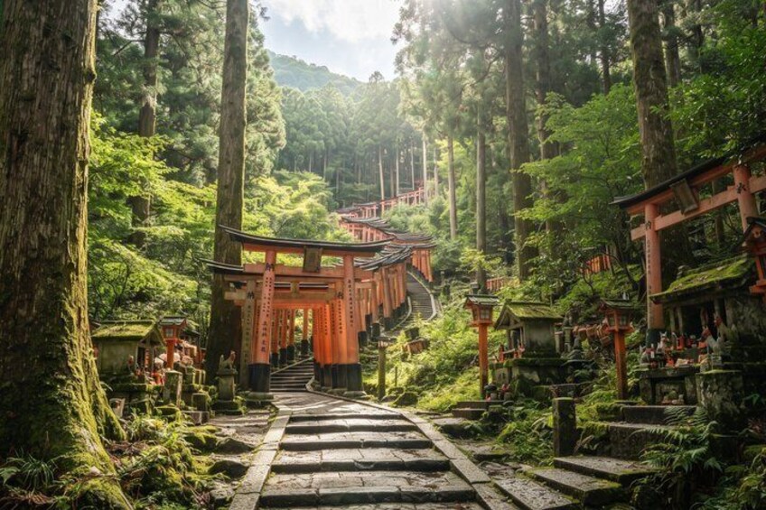 Early Bird Kyoto: Fushimi Inari, Nijo Castle & Golden Pavilion 4