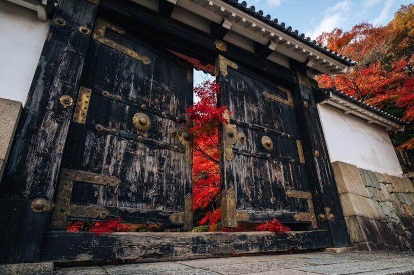 Early Bird Kyoto: Fushimi Inari, Nijo Castle & Golden Pavilion 2