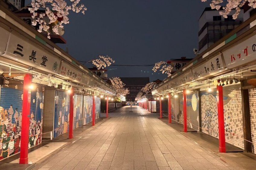 A nighttime street with closed shops, red pillars, and cherry blossoms. 4