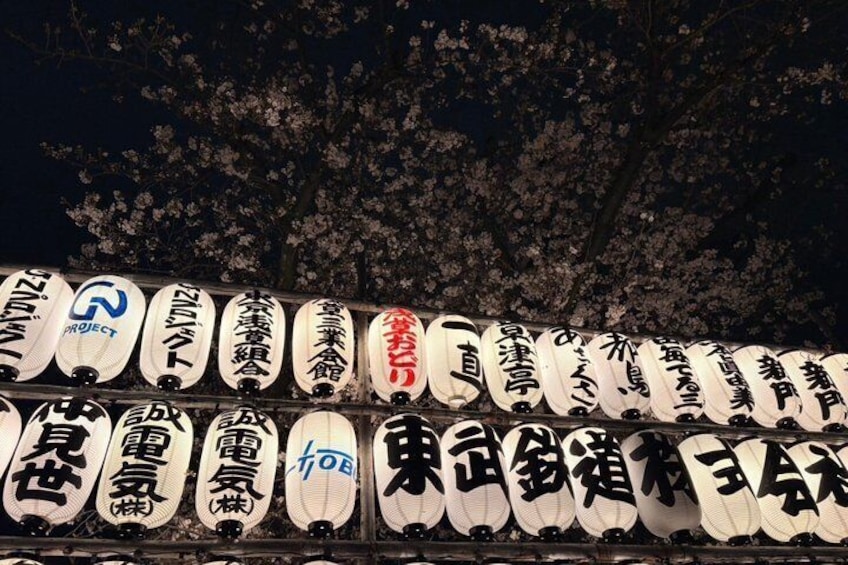 A row of illuminated signs with Japanese characters against a backdrop of cherry blossoms. 3