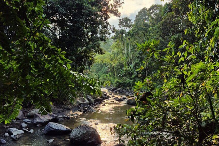 Orangutan Haven Day Tour 2
