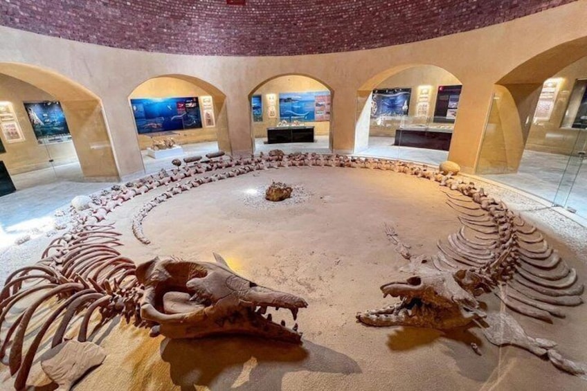 A museum exhibit with dinosaur skeletons displayed in a circular arrangement. 5
