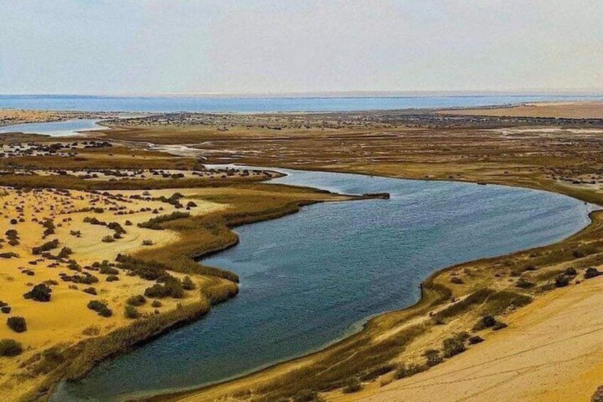 A river meandering through a desert landscape with sparse vegetation and distant water bodies. 3