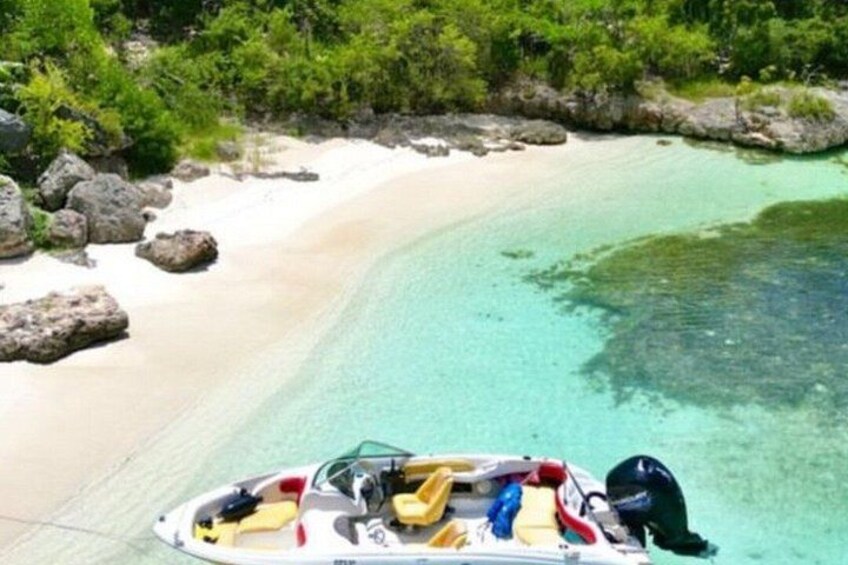 Guided Snorkel With Sea Turtles Green Island + Rum Punch + Snack 3