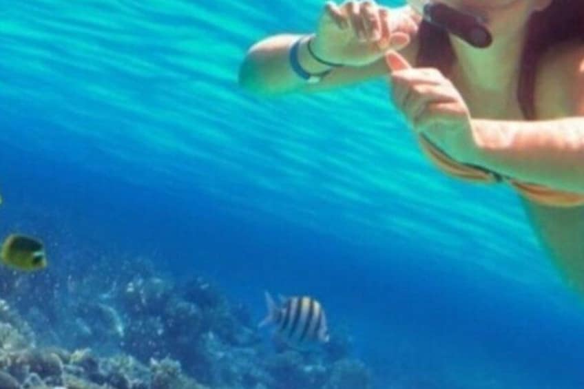 A person snorkeling underwater with fish around. 1