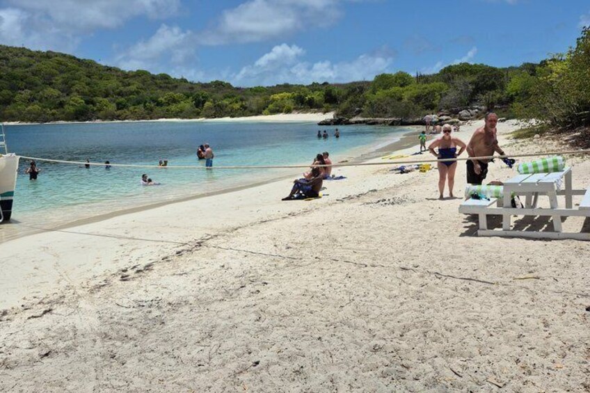 Guided Snorkel With Sea Turtles Green Island + Rum Punch + Snack 3