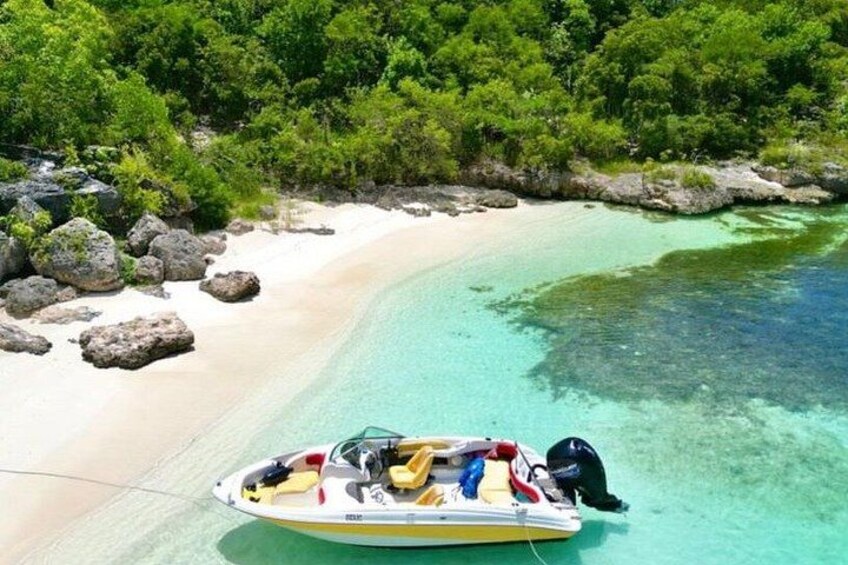 Guided Snorkel With Sea Turtles Green Island + Rum Punch + Snack 2
