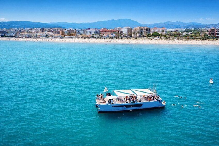 Dolphin Watching in Catamaran from Benalmadena 3