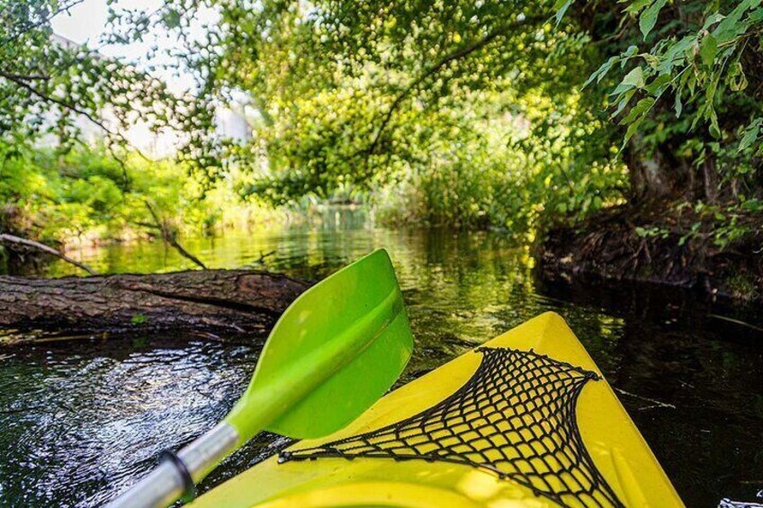 A yellow kayak with a green paddle and a net on the side, floating on a river surrounded by dense greenery. 3