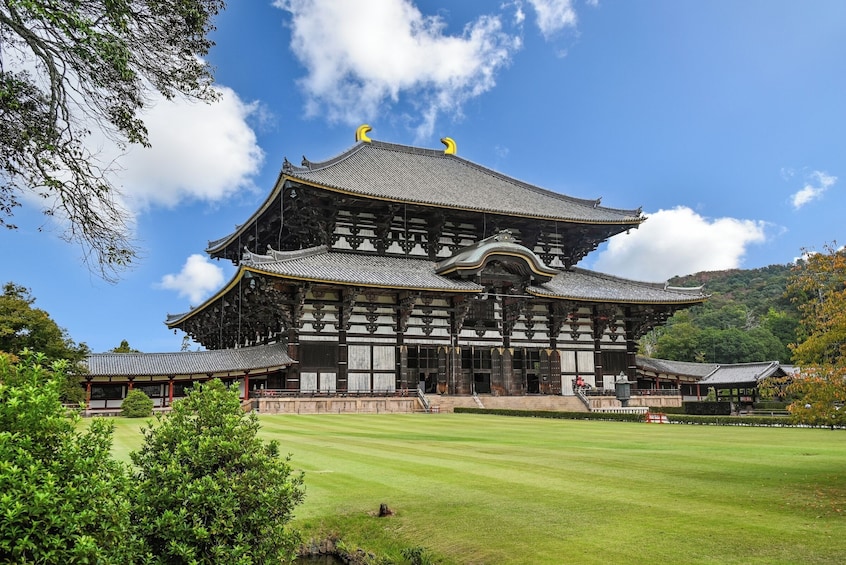 Kyoto & Nara Day Small Group Tour from Kyoto 3