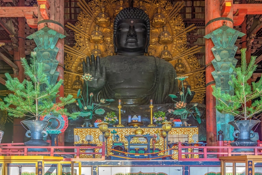 Kyoto & Nara Day Small Group Tour from Kyoto 5