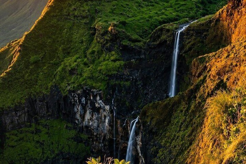 A waterfall cascading down a steep, moss-covered cliff surrounded by lush greenery. 4