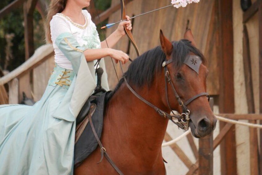 A person in historical costume riding a horse. 2