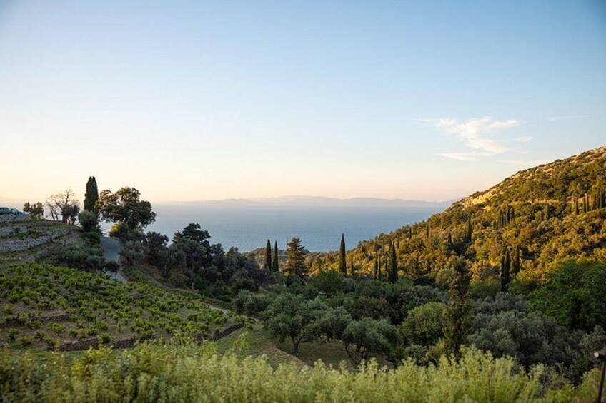 METAXA and Wine Experience 4
