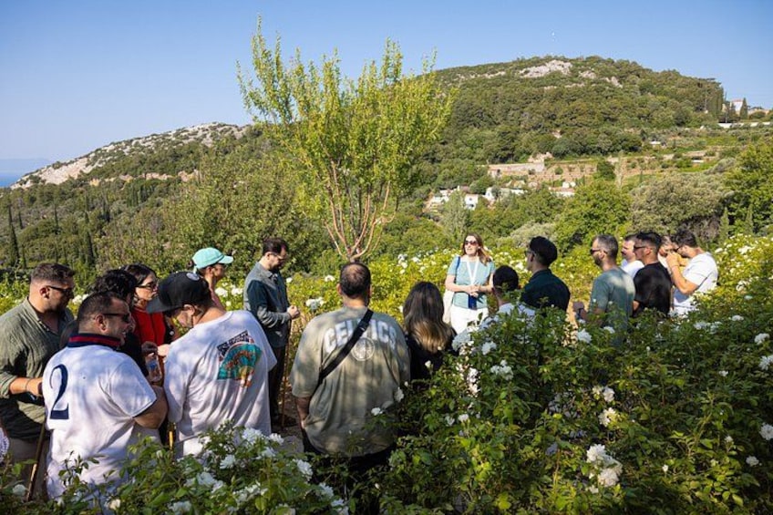 METAXA and Wine Experience 5
