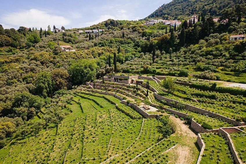 METAXA and Wine Experience 2
