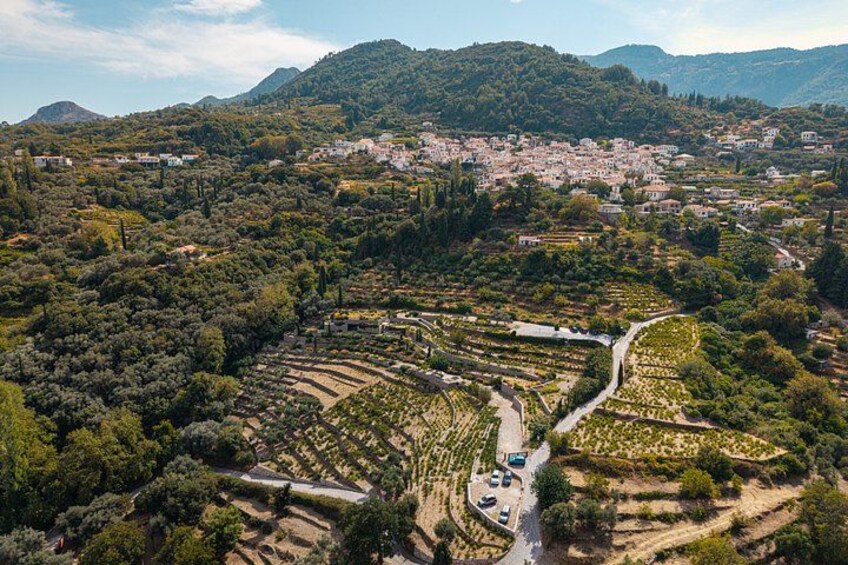 METAXA and Wine Experience 3