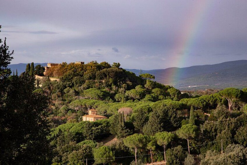 Un paisaje verde exuberante con un castillo en una colina, un arcoíris en el cielo y una vista despejada del mar. 5