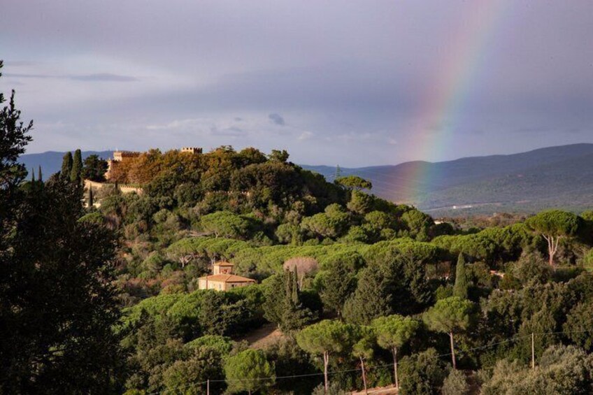 A lush green landscape with a castle on a hill, a rainbow, and a coastal view. 5