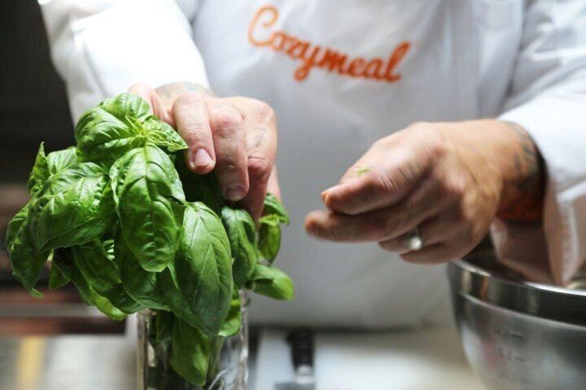 Hands holding fresh basil leaves. 2