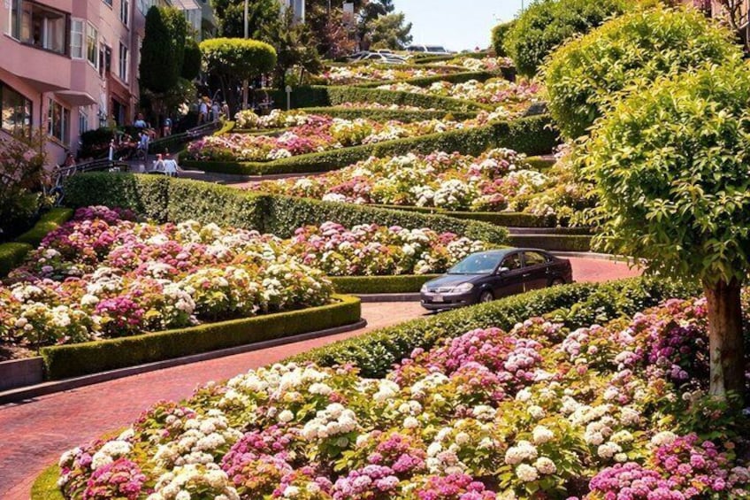 A landscaped street with tiered flower beds and a car driving down the road. 2