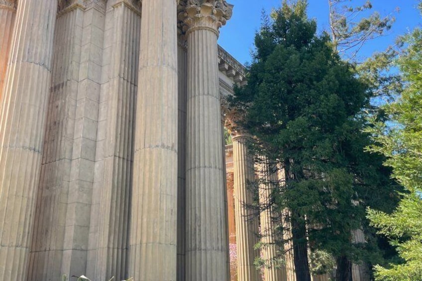 A classical building with tall columns and a tree in the foreground. 5