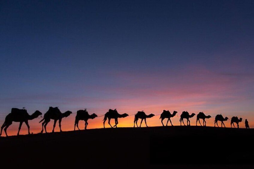 Silhouettes of camels and riders against a sunset sky. 3