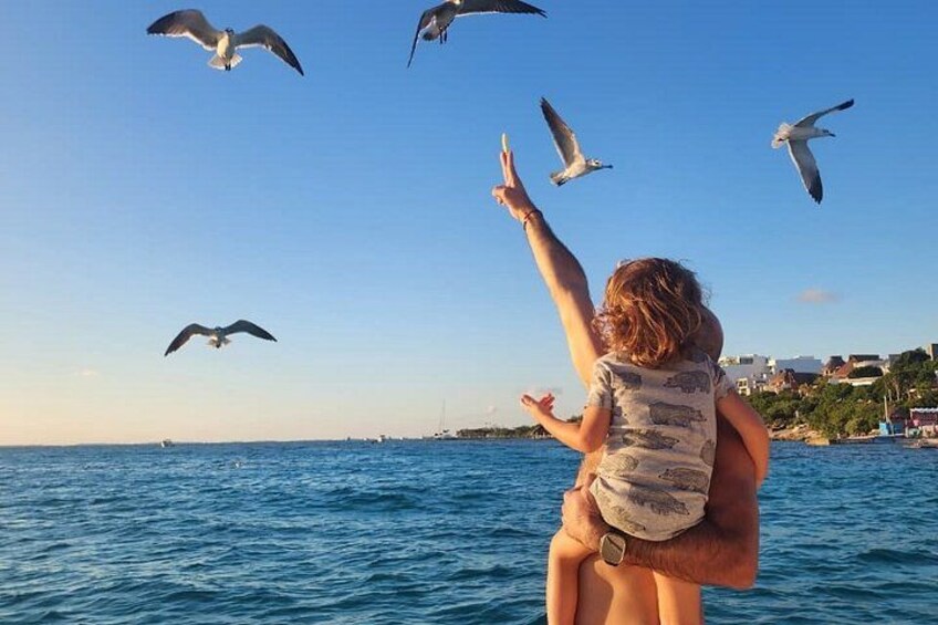 Private Yacht Rental 48 FT up to 15 passengers Isla Mujeres 5