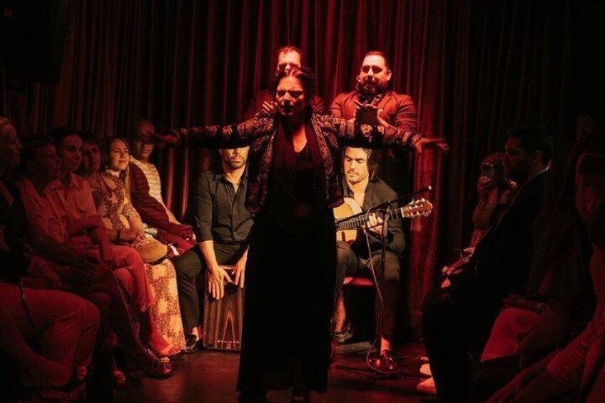 Flamenco Show at the Flamenco Tavern in Malaga 4